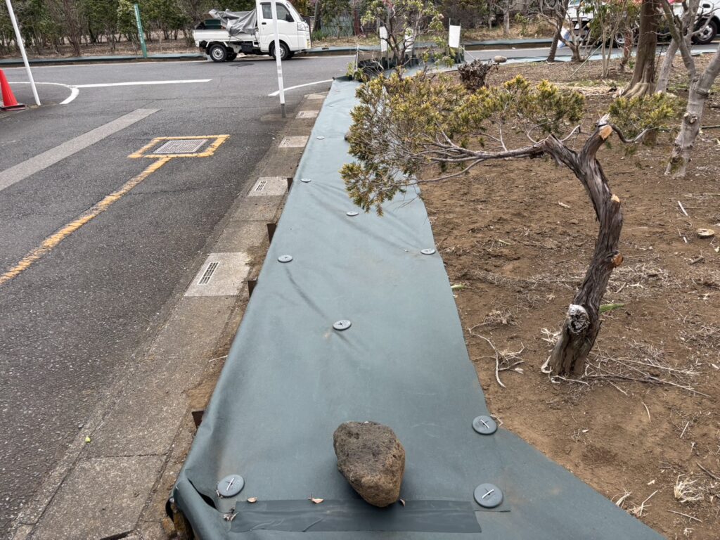 川口市にて防草シート設置